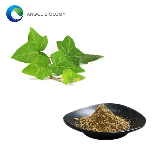 Ivy Leaf Extract Supply Chain: Sourcing, Testing & Compliance